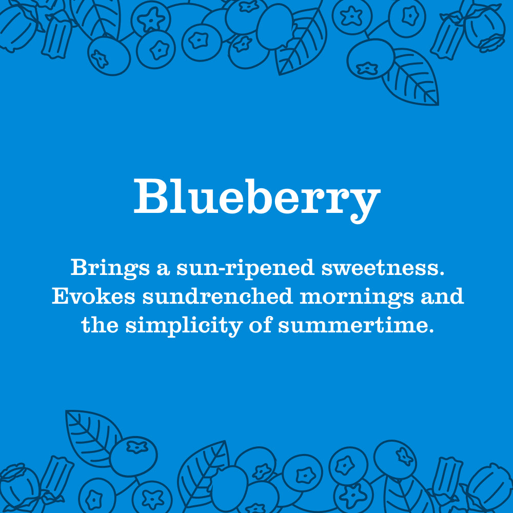 Blueberry Room Freshener - Image 3