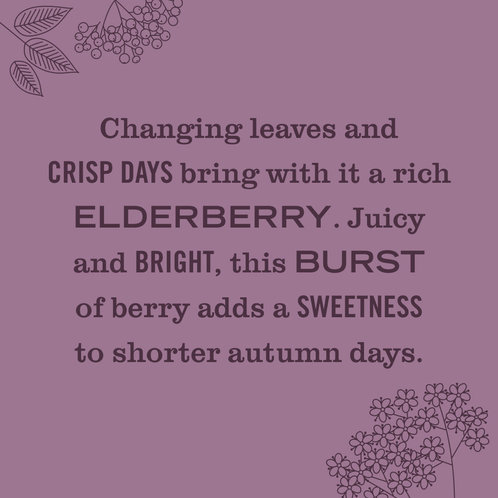 Elderberry Soy Candle Large - Image 3