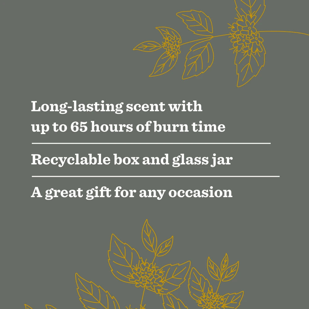 Wild Mint Garden Heirloom Candle - Image 5