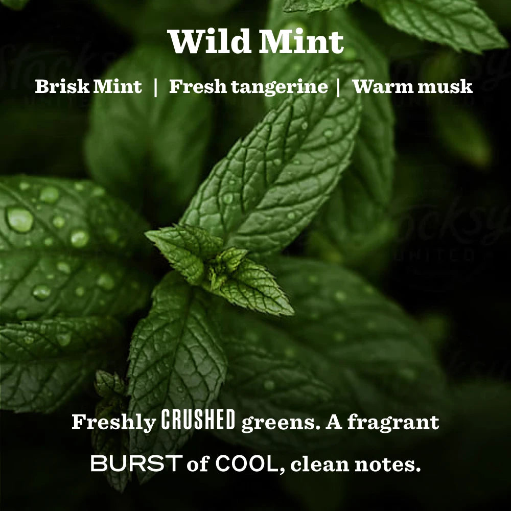 Wild Mint Garden Heirloom Candle - Image 3