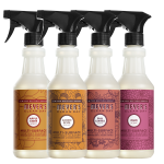 Fall Seasonal Multi-Surface Everyday Cleaner Collection