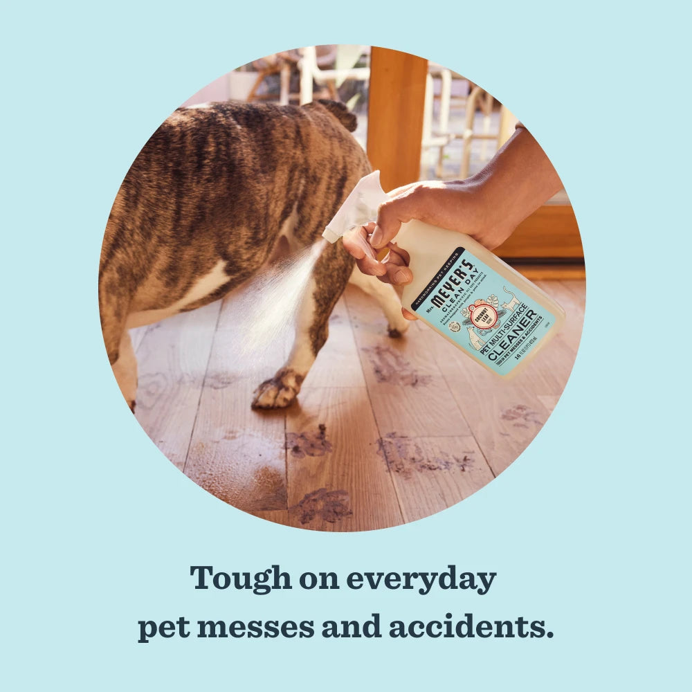 Coconut Leaf Pet Multi-Surface Cleaner - Image 4