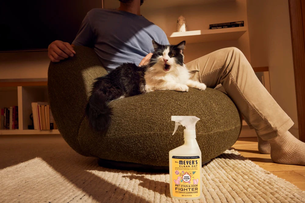 Orange Blossom Pet Stain & Odor Fighter - Image 6